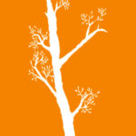 Gruppenraum Delphine Akoun